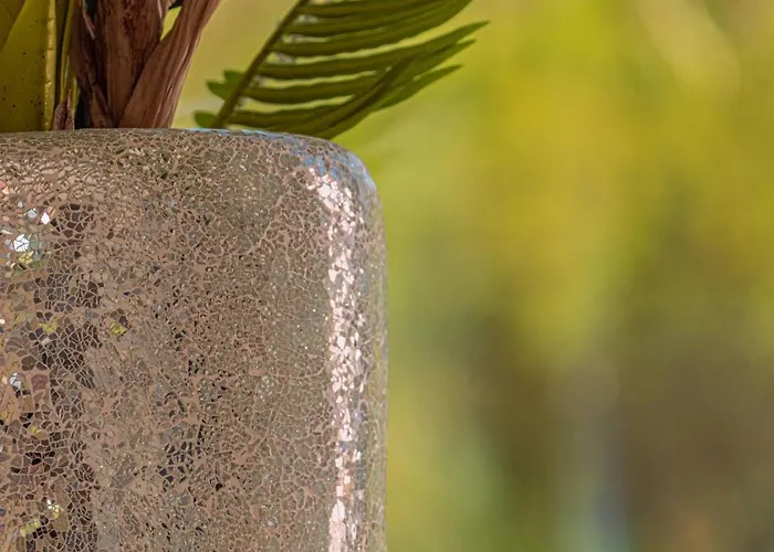 Blue Pearl 10 Pers Piscine Chauffee 10 Minutes A Pieds Sainte-Lucie de Porto-Vecchio